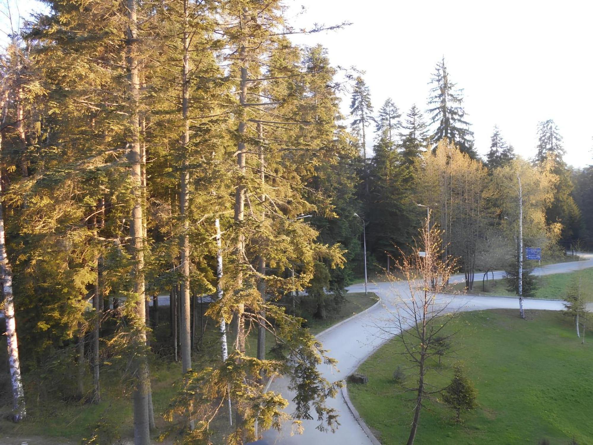 Neat Studios In "Borovets Gardens" Hotel Buitenkant foto